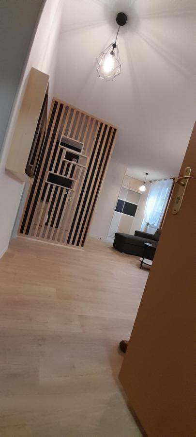 Tres Bel Appartement T3 Hyper Centre Entierement Renove En 2022 吕兹-圣索沃尔 外观 照片