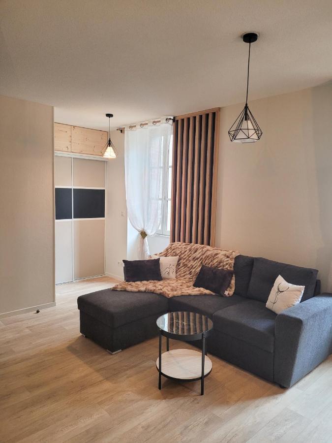 Tres Bel Appartement T3 Hyper Centre Entierement Renove En 2022 吕兹-圣索沃尔 外观 照片